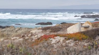 Kayalık okyanus kıyıları, deniz dalgaları, Monterey California. Tahta boş bank.