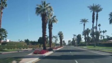 Palmiye ağaçları, Palm Springs caddesi, Kaliforniya çöl yolu gezisi. Arabadan görüntüle