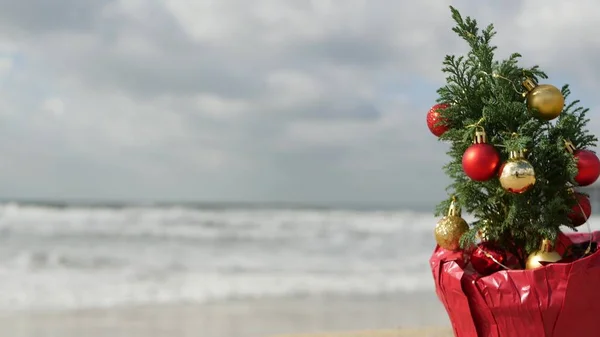 Christmas tree on sandy sea beach, New Year on ocean coast, Xmas in California. — Stock Photo, Image