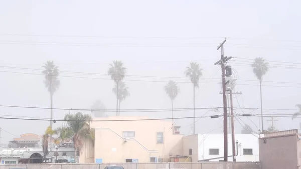 Power lines or wires on poles California city street, USA. Electricity supply. — Stock Photo, Image