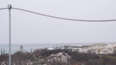 Okyanus kumlu kum tepeleri, Kaliforniya 'nın sisli kıyıları. Sisli yağmurlu hava, soğuk deniz.