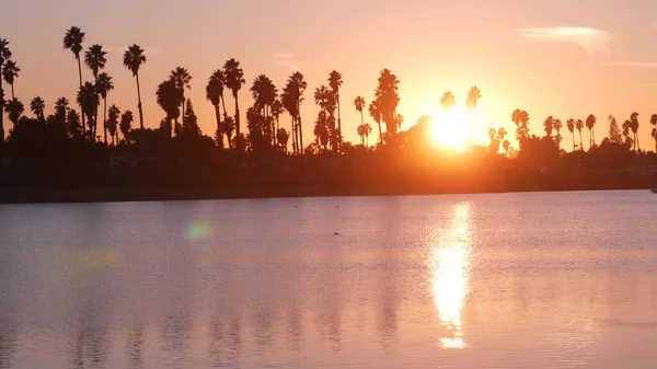 Muitas palmeiras silhuetas reflexão, pôr do sol oceano praia, costa da Califórnia EUA — Fotografia de Stock