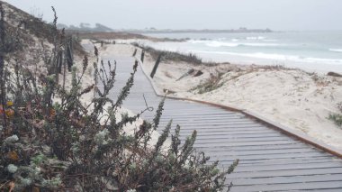 Okyanus kumlu kum tepeleri, Kaliforniya 'nın sisli kıyıları. Sisli yağmurlu hava, soğuk deniz.