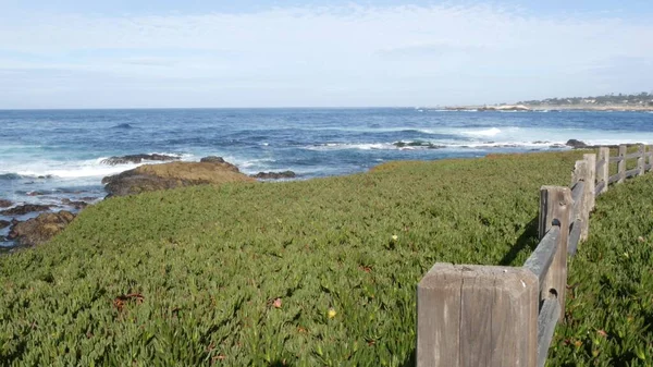 17 Meilen Autofahrt, Monterey, Kalifornien. Felsige zerklüftete Meeresküste, Wellen. Sukkulenten — Stockfoto