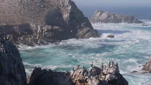 Hejno pelikánů, skalnatý ostrov, oceán, Point Lobos, Kalifornie. Ptáci létají — Stock fotografie
