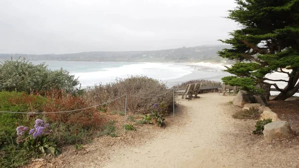 Пустая деревянная скамейка, отдых на тропинке. Океанский пляж, побережье Калифорнии, деревья — стоковое фото