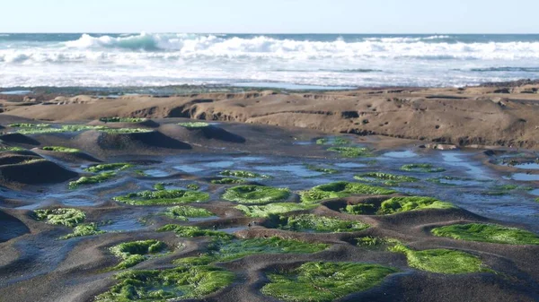 Eroded tide pool rock formation in California. Littoral intertidal tidepool zone