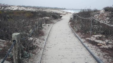 Okyanus kumlu kum tepeleri, Kaliforniya 'nın sisli kıyıları. Sisli yağmurlu hava, soğuk deniz.