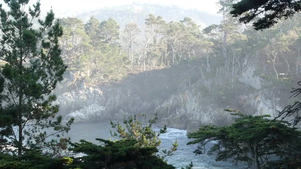 Falaise rocheuse de falaise, plage océanique, Point Lobos, côte californienne. Vagues s'écrasant. — Photo