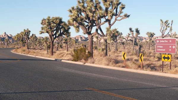 Crossroad sign, road intersection, California USA. Joshua Tree desert wilderness