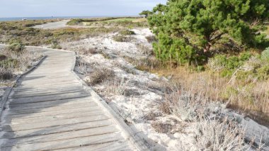 Tahta sahil yolu, kum tepesi, Kaliforniya kıyısı. Yaya yolu ya da yaya yolu