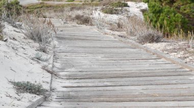 Tahta sahil yolu, kum tepesi, Kaliforniya kıyısı. Yaya yolu ya da yaya yolu