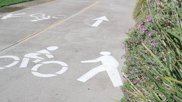 Ποδήλατο ή ποδήλατο λωρίδα, ποδηλασία ασφάλεια στις ΗΠΑ. Γραμμική σήμανση στην άσφαλτο, ποδηλάτης. — Φωτογραφία Αρχείου