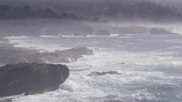 Rotsachtige grillige oceaan strand, Point Lobos, mistige Californische kust. Golven storten neer. — Stockvideo