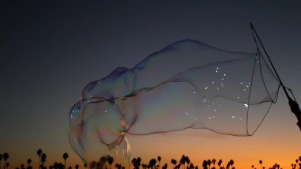 Silhouette di palme, spiaggia al tramonto sull'oceano, bolle di sapone, costa della California, Stati Uniti. — Video Stock