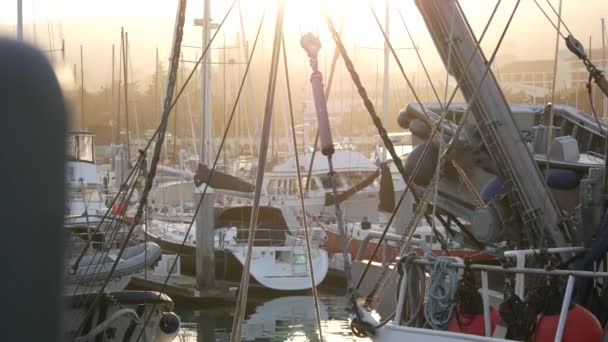 Barcos de pesca en puerto deportivo, industria pesquera, muelle del puerto marítimo, pesca en EE.UU.. — Vídeo de stock