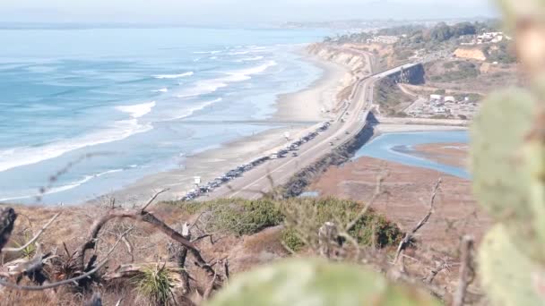 Тихоокеанское побережье шоссе 1, пляжные океанские волны штата Торри-Пайнс, путешествия Калифорния — стоковое видео