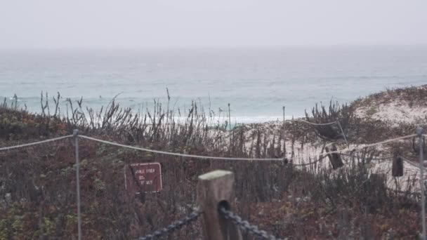 海のビーチ砂丘、カリフォルニア州霧の海岸。霧のような雨の天気、冷たい海. — ストック動画