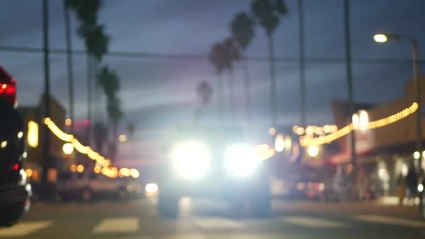 오션 비치의 야자나무, 어스름 한 빛, 캘리포니아 해안, 샌디에이고, 미국. — 비디오