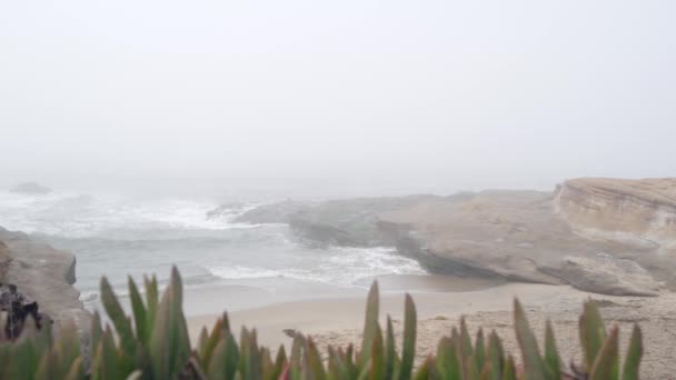 Ομιχλώδες τοπίο της θάλασσας, κύματα συντρίβονται στην παραλία του ωκεανού σε ομίχλη, ήρεμη ομιχλώδης καιρός. — Αρχείο Βίντεο
