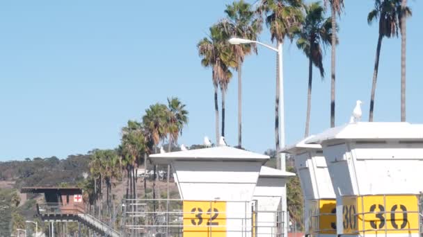 Lifeguard stand or life guard Tower hut, surfing safety on California beach, ΗΠΑ — Αρχείο Βίντεο