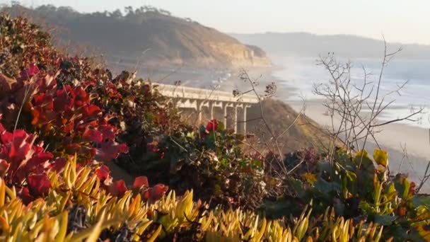 Мост на тихоокеанском побережье шоссе, Торри Пайнс пляж закат, Калифорния дорожное путешествие — стоковое видео