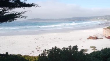 Yol, patika ya da patika, okyanus sahili, California sahili. Rıhtıma bakan selvi ağacı..