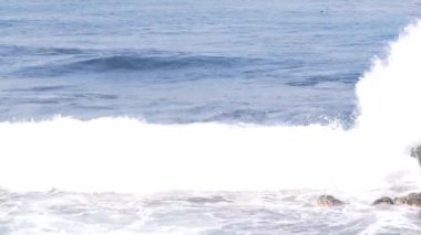 Pelikan kuşları havada uçuyor, okyanus dalgaları. Pelecanus uçuşu, su yüzeyi.