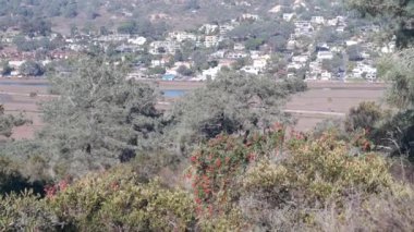 Torrey Pines eyalet parkı, doğal rezerv, yürüyüş ve patika, Kaliforniya