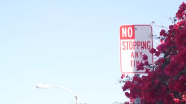 Herhangi bir zaman tabelasında durmak yok, California City Caddesi, ABD. Bougainvillea çiçeği