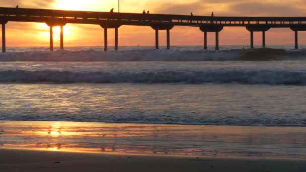 Cais em água do mar na praia. Ondas oceânicas, céu ao pôr-do-sol. Vibrações da costa da Califórnia. — Vídeo de Stock