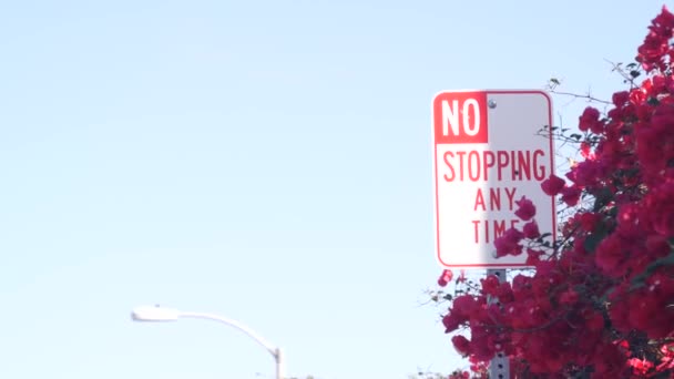 Pas d'arrêt n'importe quel panneau horaire, California city street, USA. Fleurs de bougainvilliers — Video