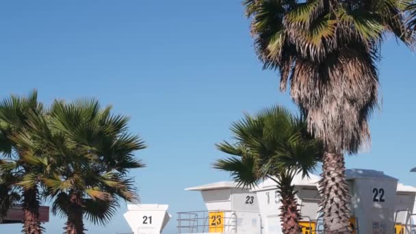 Stojan pro plavčíky a palmy, strážní věž pro surfování na Kalifornské pláži.