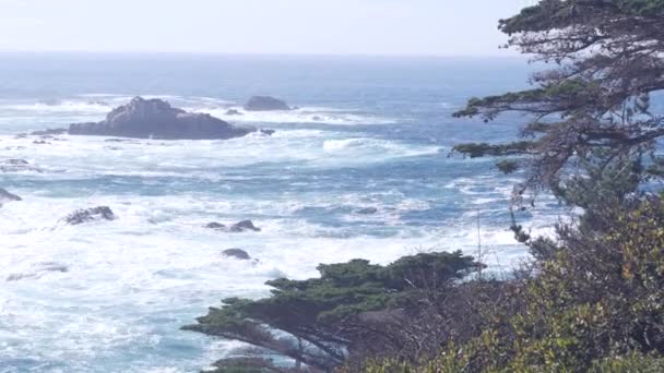 Rotsachtige klif, oceaanstrand, Point Lobos, Californische kust. Golven storten neer. — Stockvideo