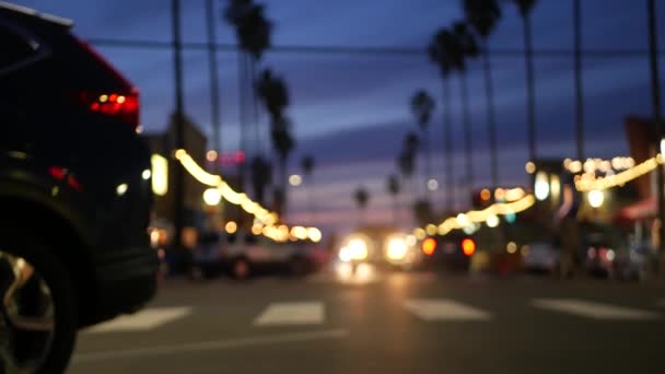 Palmeiras em Ocean Beach, luzes no crepúsculo, costa da Califórnia, San Diego, EUA. — Vídeo de Stock
