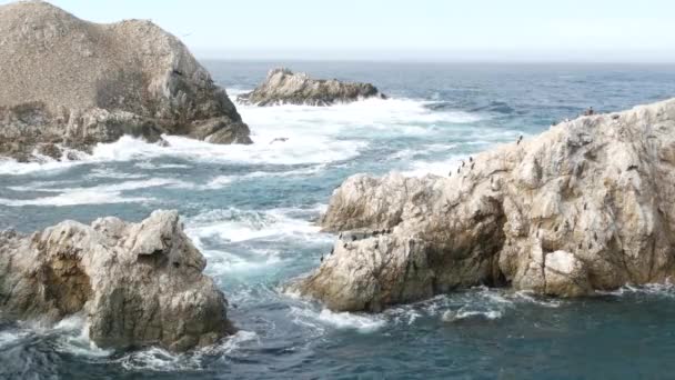 Rotsachtige klif, oceaanstrand, Point Lobos, Californische kust. Golven storten neer. — Stockvideo