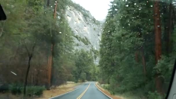 Gotas de lluvia en el parabrisas, conducción de coches en el bosque de Yosemite, viaje por carretera, California. — Vídeos de Stock