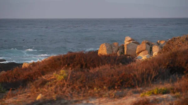 Rocky ocean coast, drammatiche onde marine, Monterey beach, California, uccelli che volano. — Foto Stock
