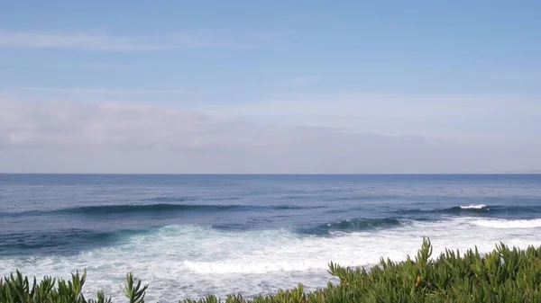 Meereswellen krachen auf Strand, Meeresoberfläche, Kalifornien. Sukkulente Pflanzen. — Stockfoto