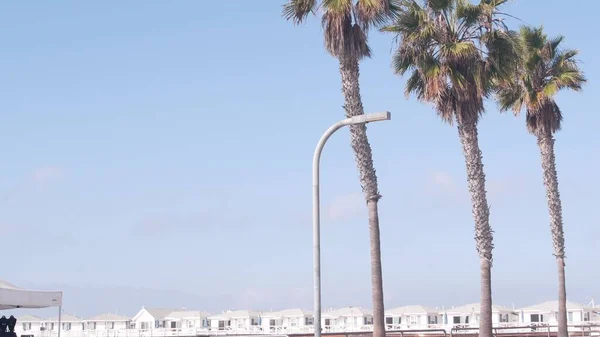Palmier et jetée de cristal en bois avec chalets, plage de l'océan Californie, États-Unis. — Photo