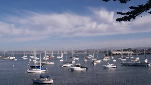 Limanda ya da körfezde yatlar, Monterey marinası, Old Fishermans Wharf, California sahili — Stok fotoğraf