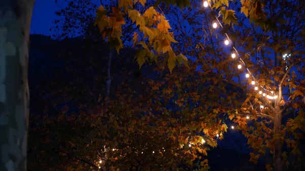 Κίτρινα ή πορτοκαλί φύλλα σφενδάμου φθινόπωρο και λαμπερό γιρλάντα στο ζεστό λυκόφως. — Φωτογραφία Αρχείου