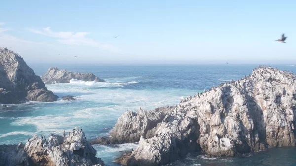 Manada de pelícanos, isla de acantilados rocosos, océano, Point Lobos, California. Aves volando — Foto de Stock