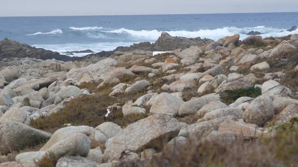 Costa oceânica rochosa e escarpada, ondas de água do mar a cair sobre rochas, Monterey California — Fotografia de Stock