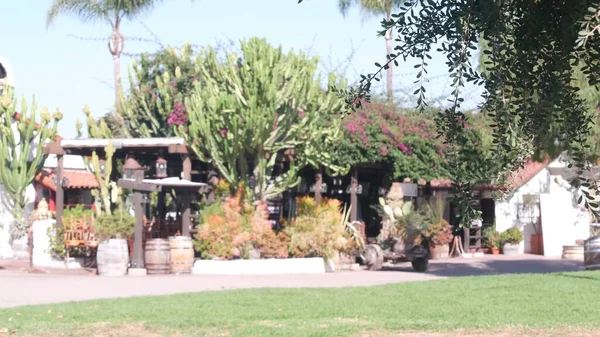 Мексиканский сельский сад. Сочные растения, деревенское ранчо в Калифорнии, высокий кактус. — стоковое фото