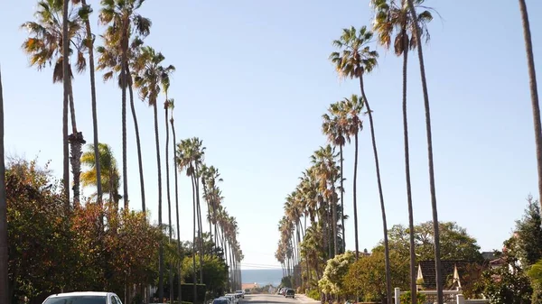 Fila de palmeiras, cidade perto de Los Angeles, costa da Califórnia. Palmeiras por praia. — Fotografia de Stock