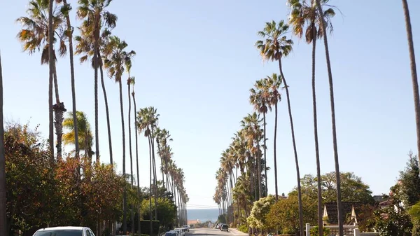 Row of palm trees, city near Los Angeles, California coast. Palmtrees by beach. Stock Photo