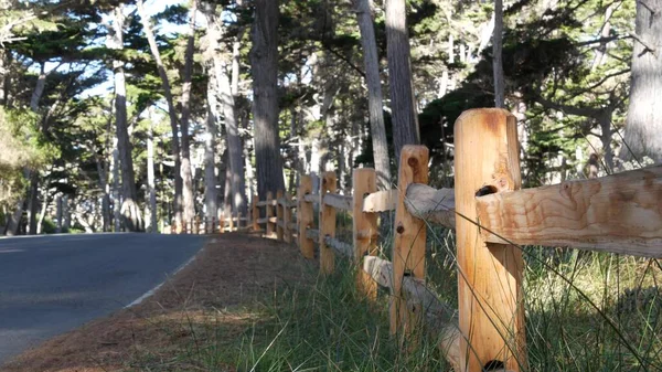 Sahne 17 mil, Monterey, California. Selvi ağacı ormanına yolculuk. — Stok fotoğraf