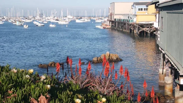 Odun yığınları üzerinde ahşap evler, Ocean Bay Limanı. Old Fishermans Rıhtımı. Monterey Limanı — Stok fotoğraf