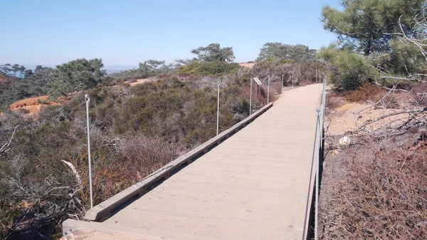 Parc d'État Torrey Pines, réserve naturelle, randonnée pédestre et sentiers, Californie — Photo